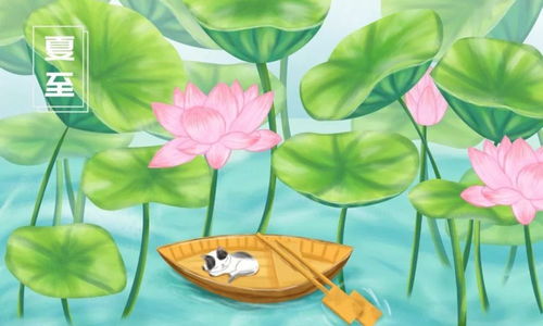 藥海淘科技節(jié)氣養(yǎng)生之夏至篇