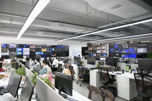 營(yíng)收15 投入研發(fā),小鳥科技如何坐穩(wěn)國(guó)內(nèi)視聽領(lǐng)域 領(lǐng)頭羊